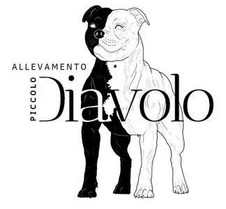 Del Piccolo Diavolo Staffy cuccioli